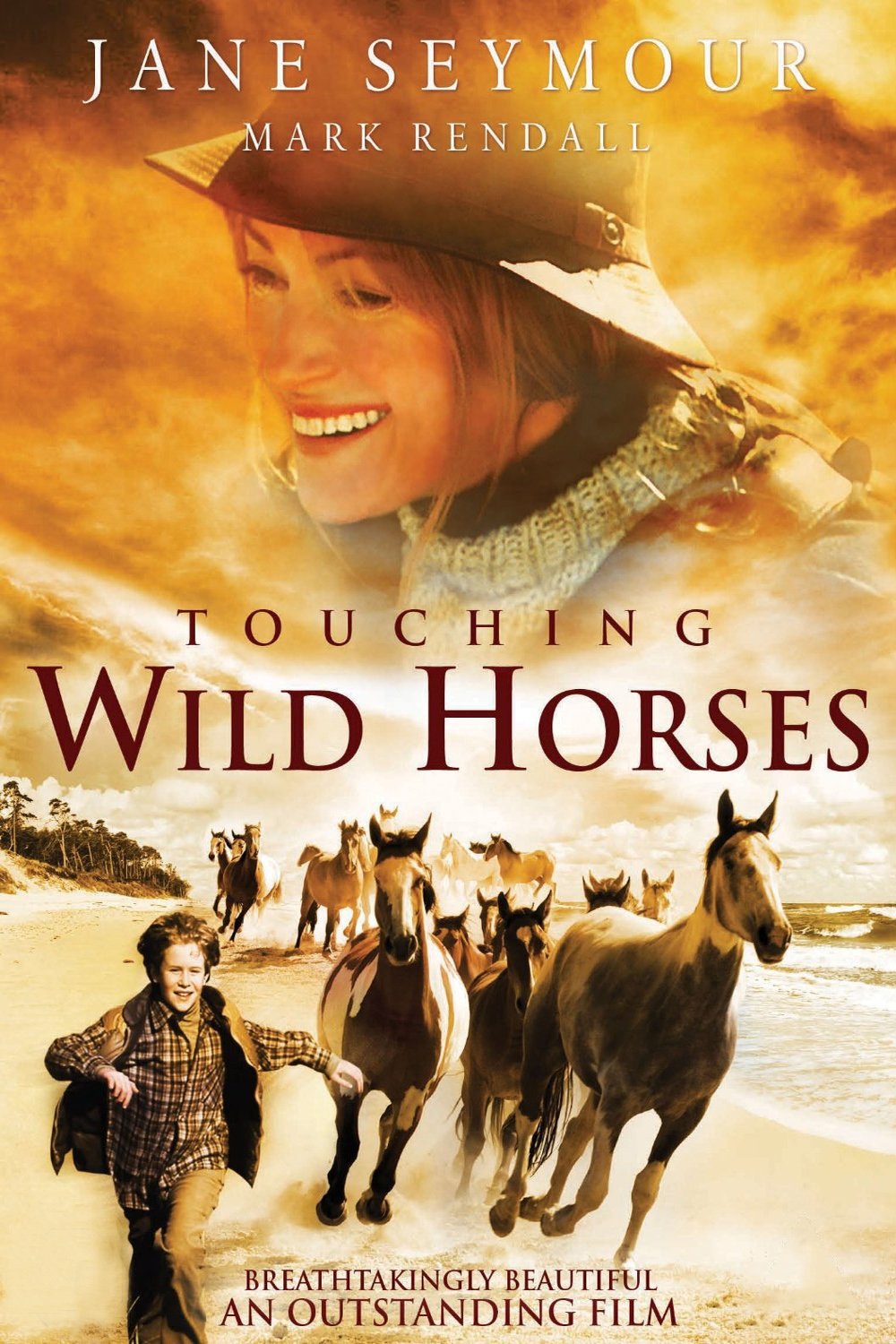 Постер Touching Wild Horses
